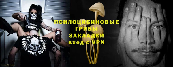 гидра Пролетарск