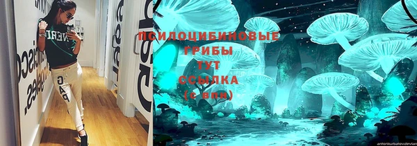 молекула духа Алзамай