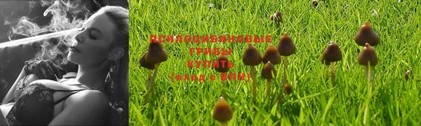 МДМА Алексеевка